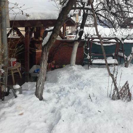 Topuzovi Guest House Dobriniste Kültér fotó