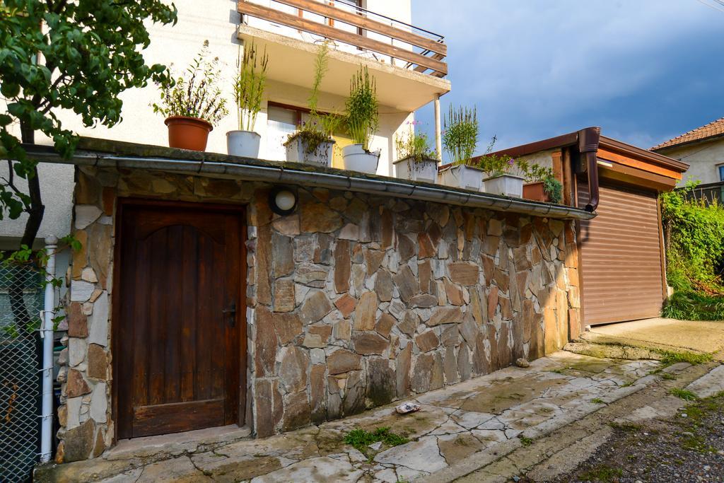 Topuzovi Guest House Dobriniste Kültér fotó