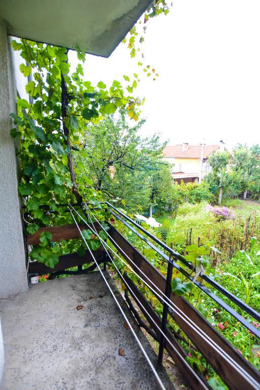 Topuzovi Guest House Dobriniste Kültér fotó